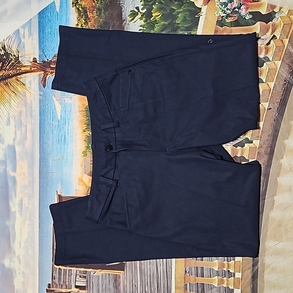Lululemon Blue‎ Pants Size 30x31 - Picture 2 of 4